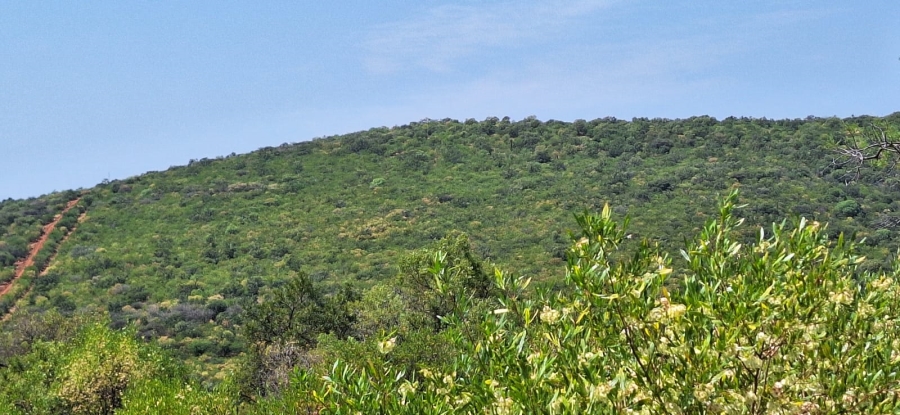 10 Bedroom Property for Sale in Swartruggens North West